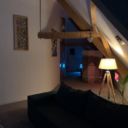 Nid De Cigogne Appartement Illhaeusern Buitenkant foto