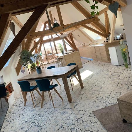 Nid De Cigogne Appartement Illhaeusern Buitenkant foto