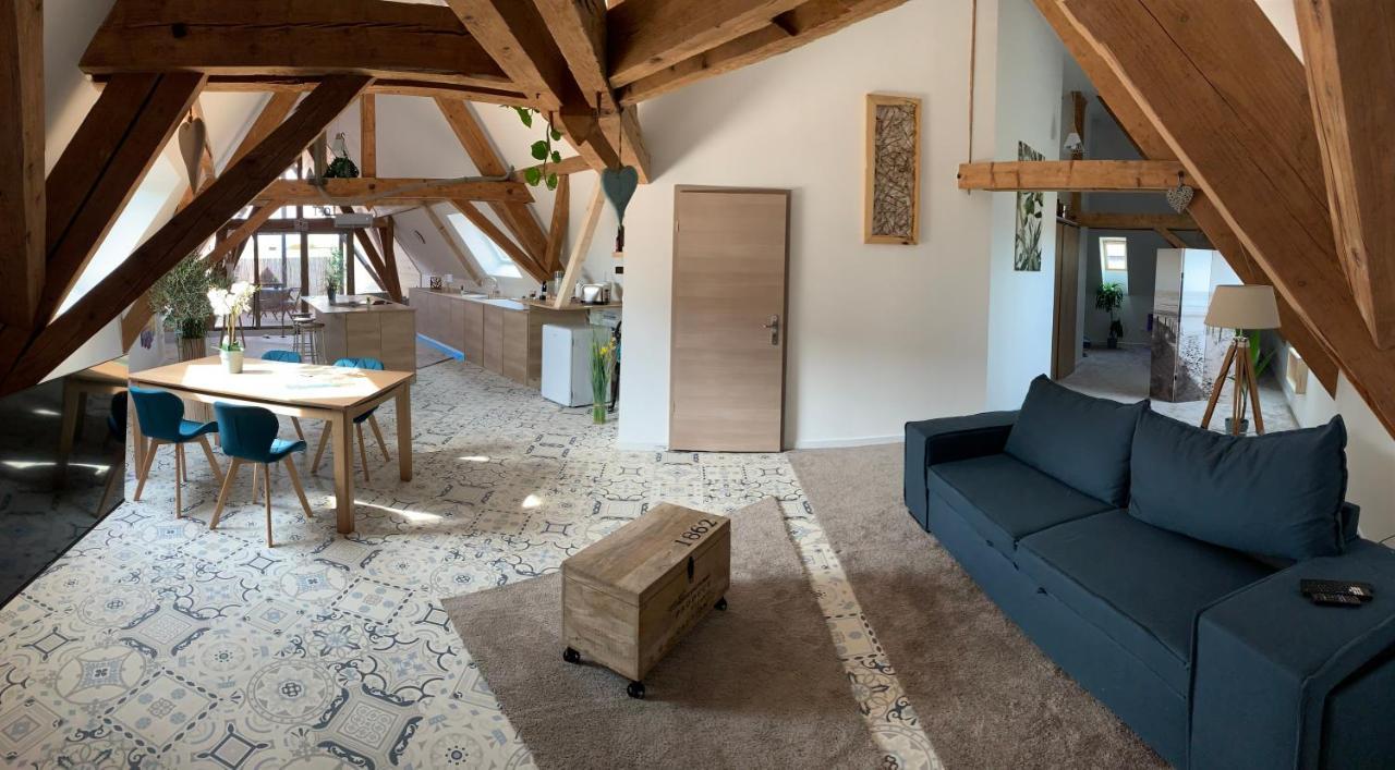 Nid De Cigogne Appartement Illhaeusern Buitenkant foto