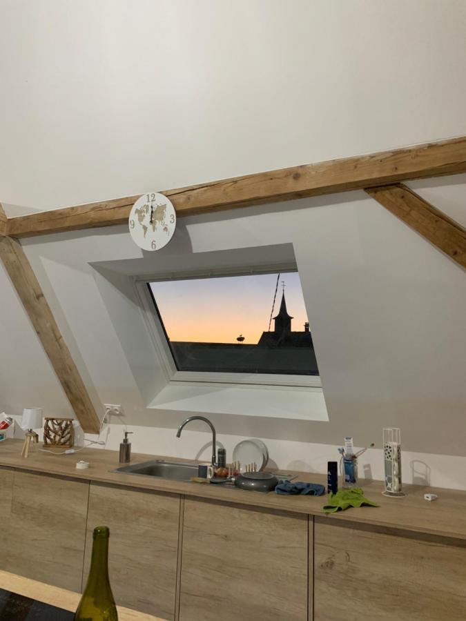 Nid De Cigogne Appartement Illhaeusern Buitenkant foto