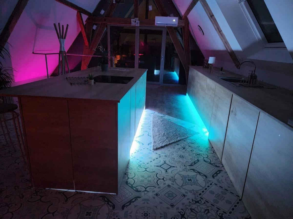 Nid De Cigogne Appartement Illhaeusern Buitenkant foto