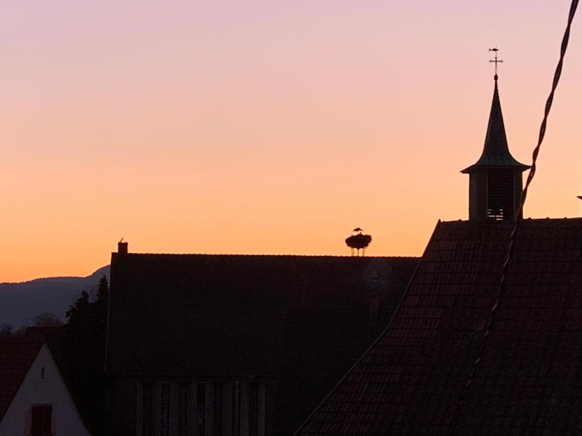 Nid De Cigogne Appartement Illhaeusern Buitenkant foto