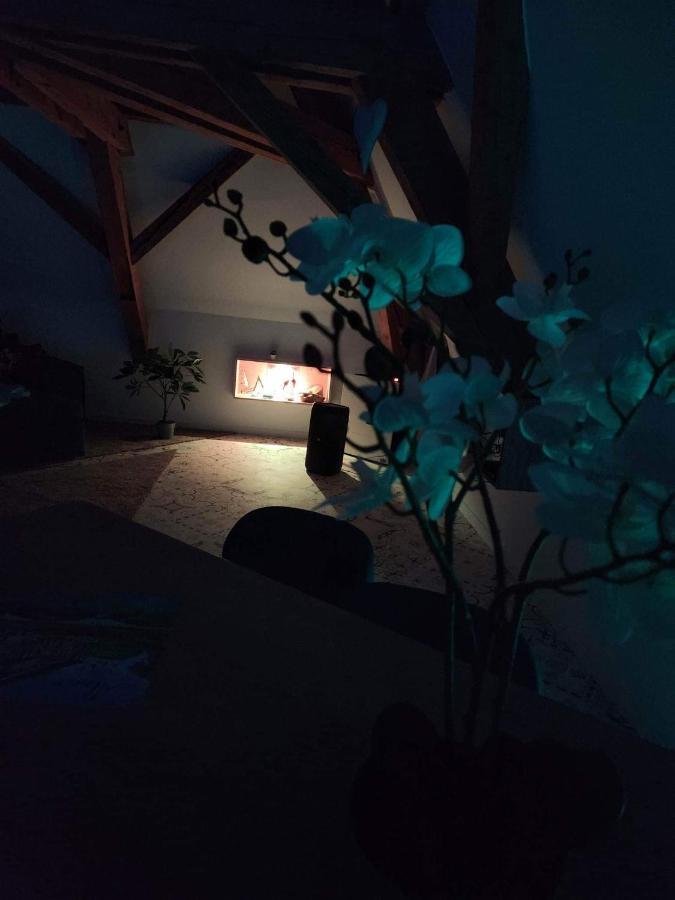 Nid De Cigogne Appartement Illhaeusern Buitenkant foto