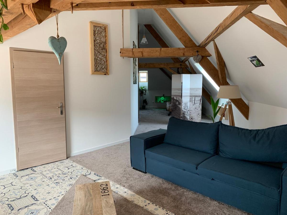 Nid De Cigogne Appartement Illhaeusern Buitenkant foto